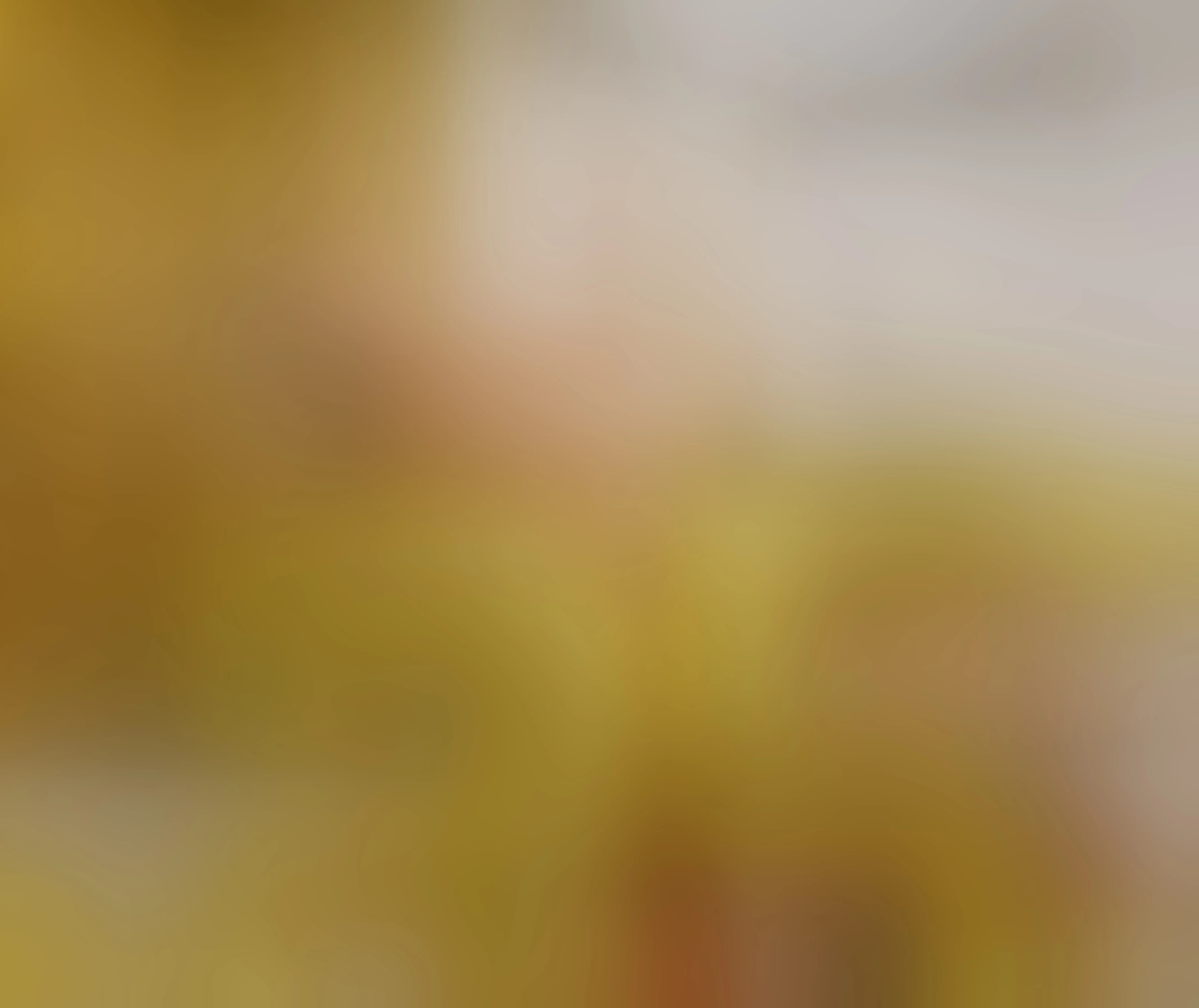 Live sex webcam photo for SophiaPotts #7893882