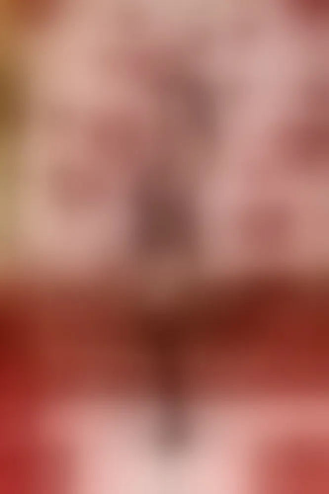 Live sex webcam photo for julietajackson31 #8243634