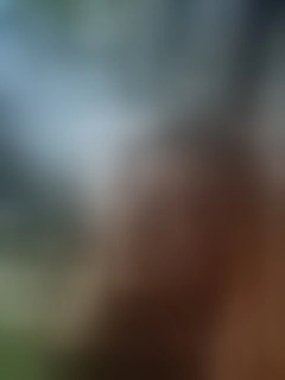 Live sex webcam photo for Afrodhita #8523087