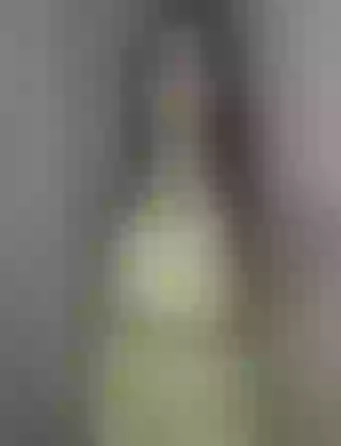 Live sex webcam photo for AnnieBlakee #8094812