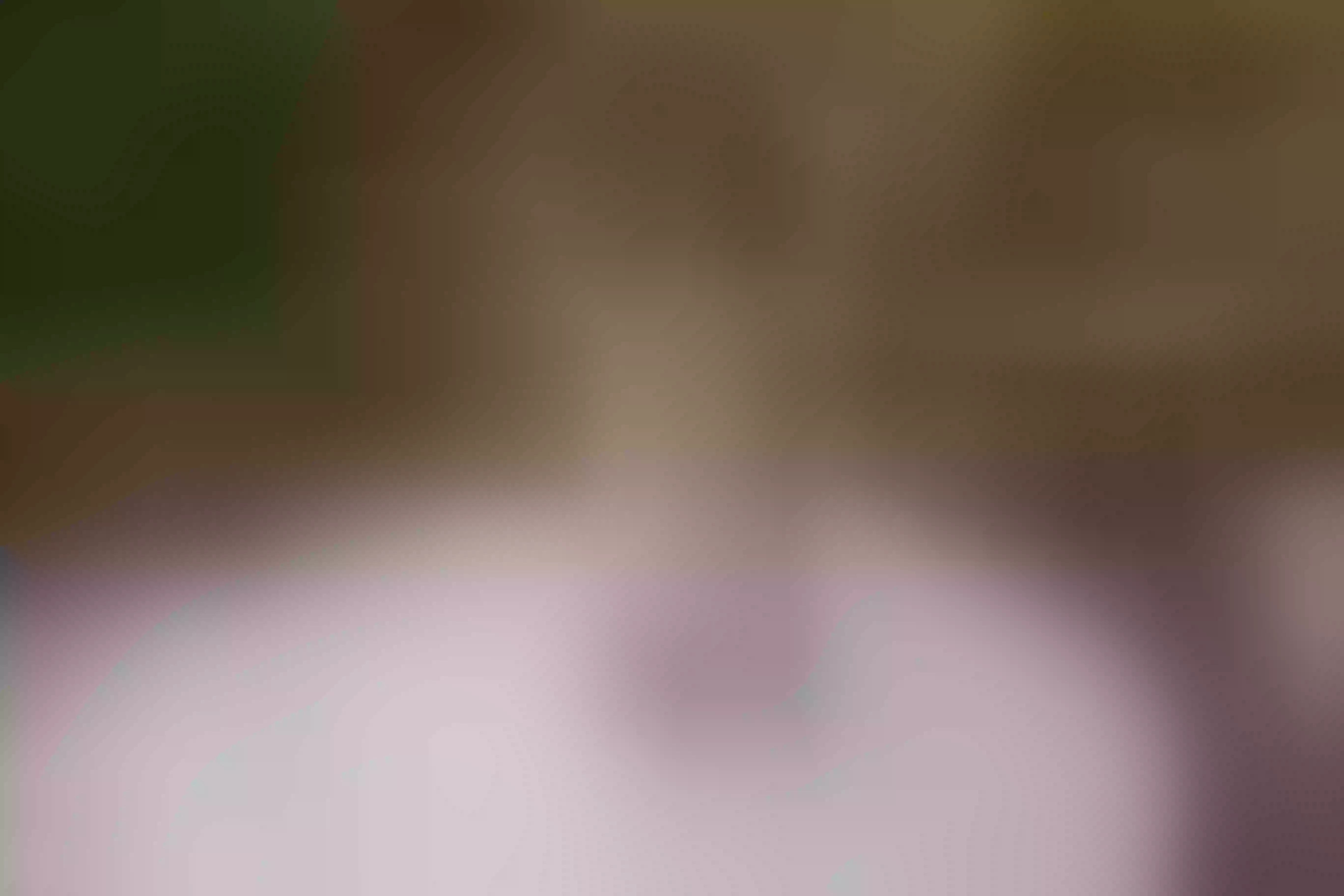 Live sex webcam photo for ValkyriiaSteel #8093960