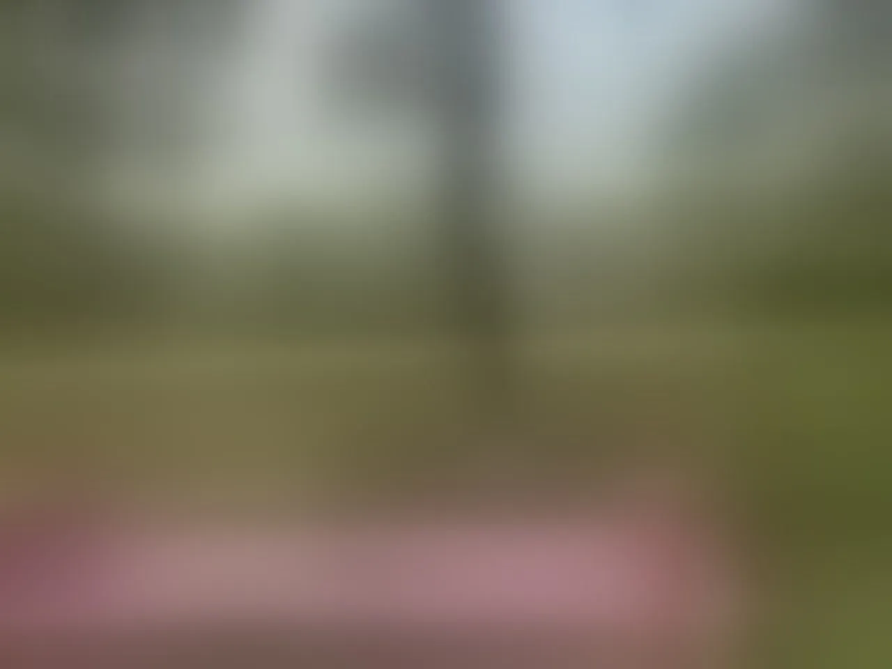 Live sex webcam photo for aylacallowey #8257091