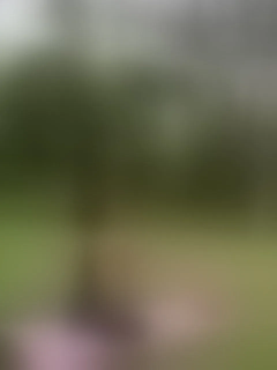 Live sex webcam photo for aylacallowey #8257083