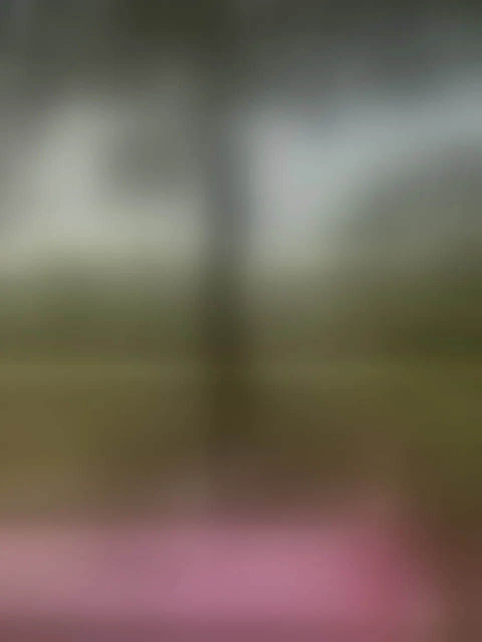 Live sex webcam photo for aylacallowey #8257089