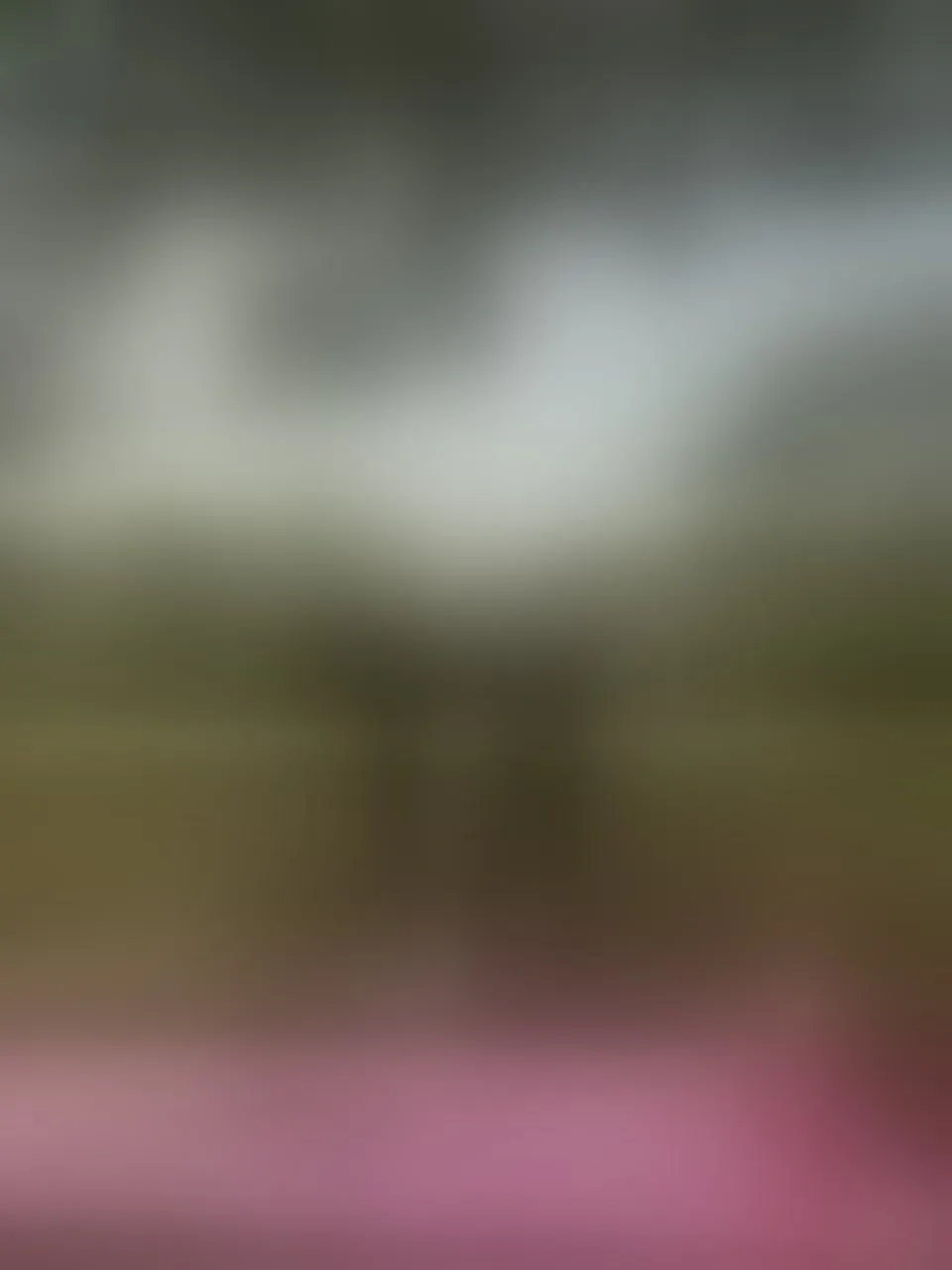 Live sex webcam photo for aylacallowey #8257087
