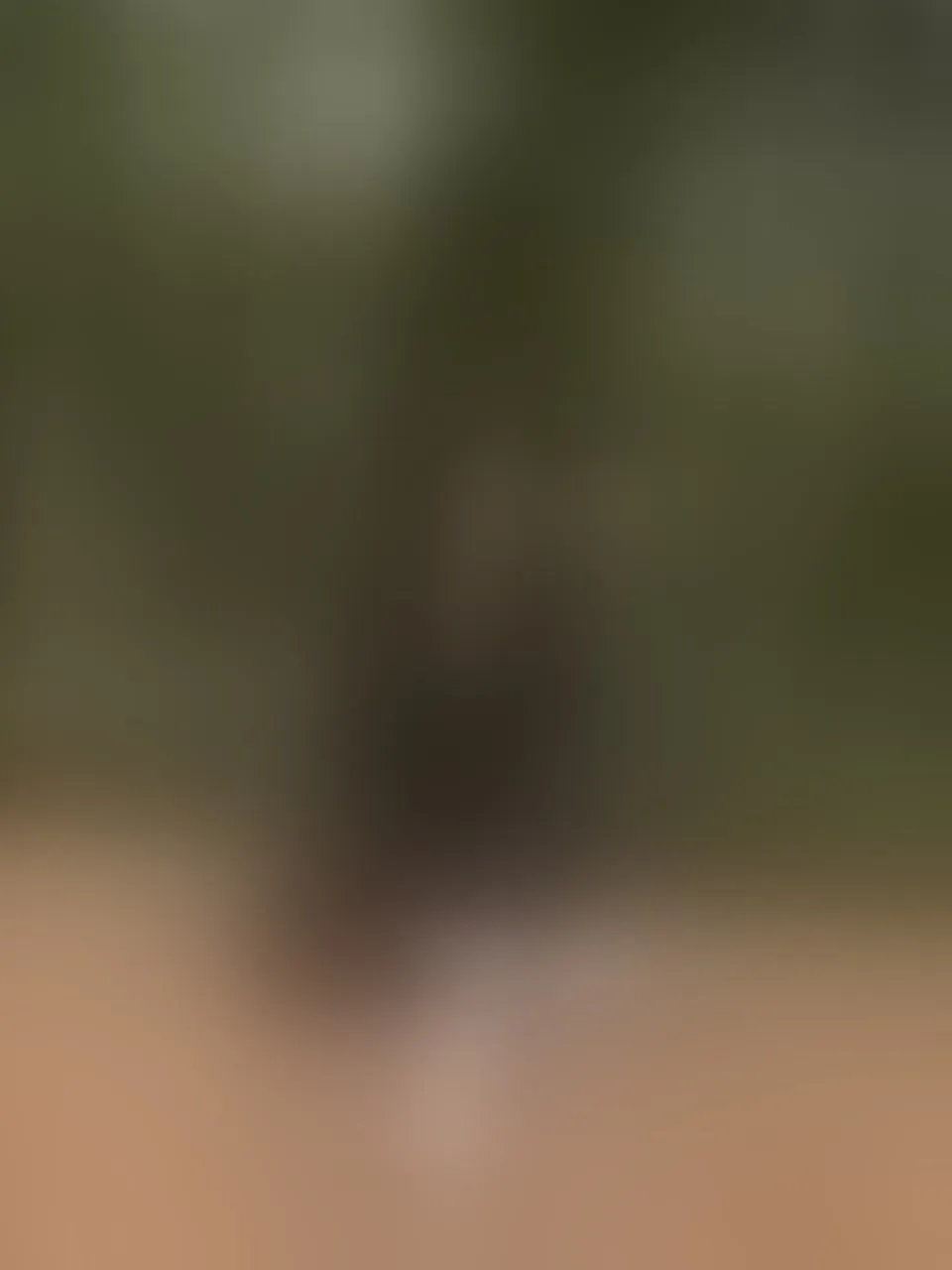 Live sex webcam photo for aylacallowey #8257068