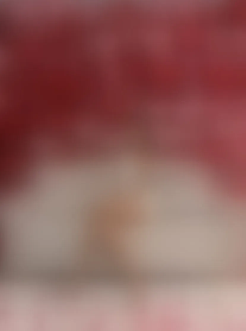Live sex webcam photo for aylacallowey #8301288