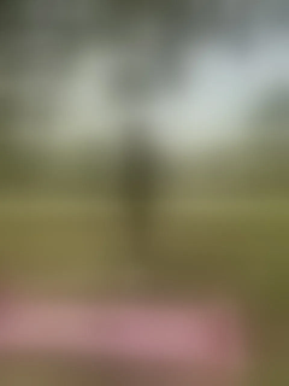 Live sex webcam photo for aylacallowey #8257088