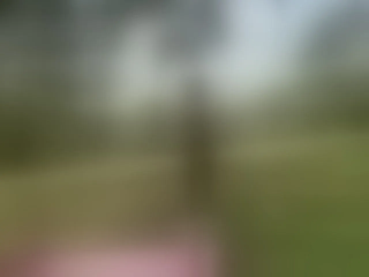 Live sex webcam photo for aylacallowey #8257078
