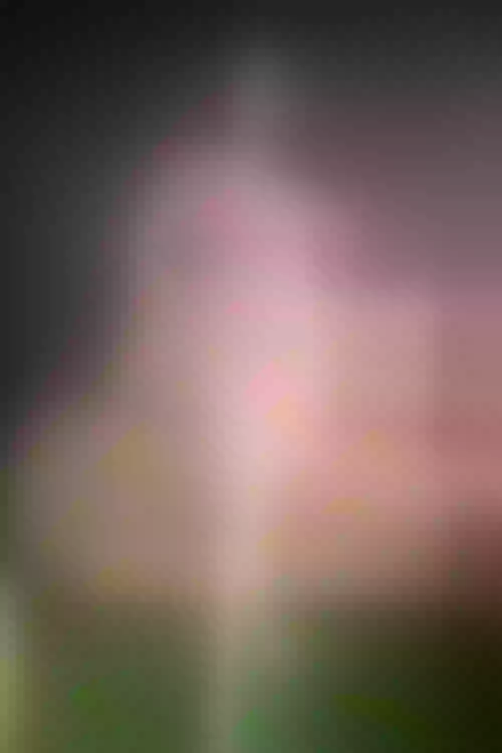 Live sex webcam photo for IsabellaBeltrann #7184638