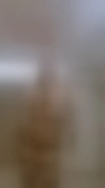 Live sex webcam photo for ValentinaBreats #7973876