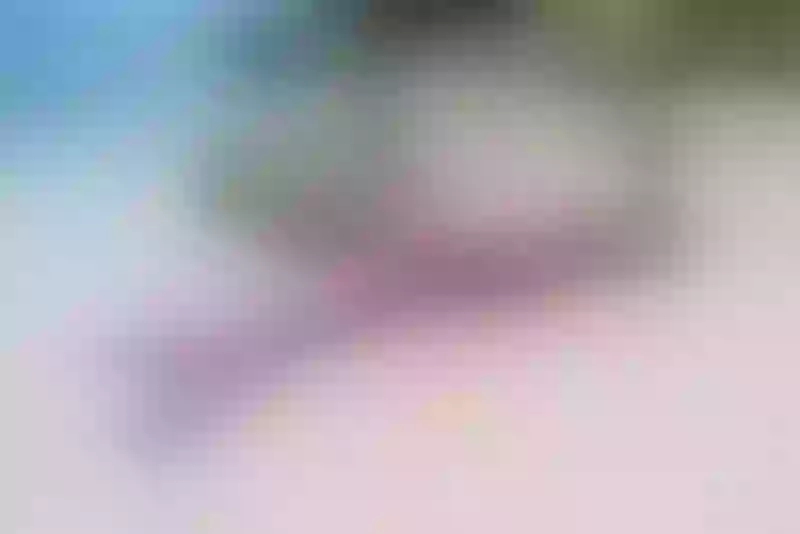 Live sex webcam photo for HollieC #7171882