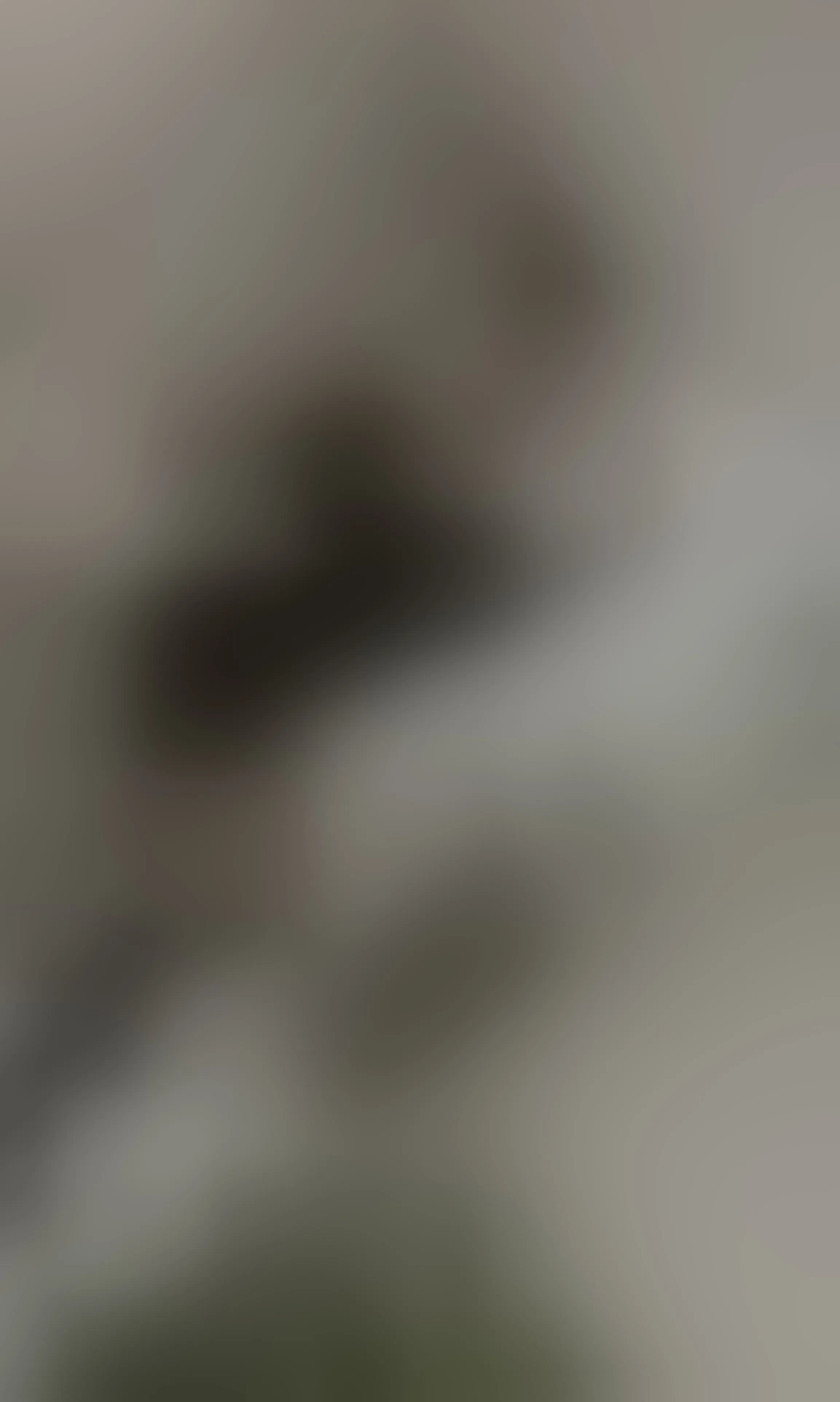 Live sex webcam photo for AbbyBermudez #8196022