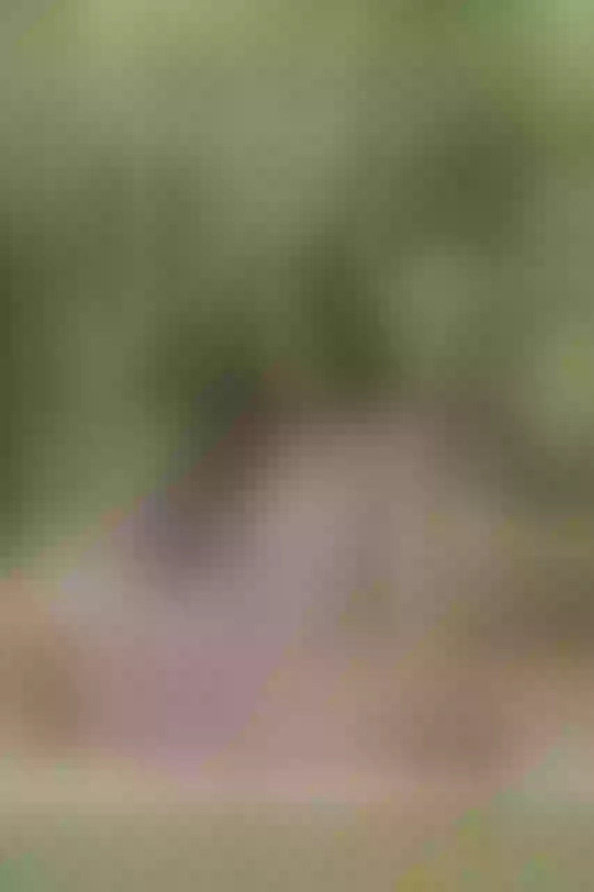 Live sex webcam photo for ARIANNACUTE #7310806
