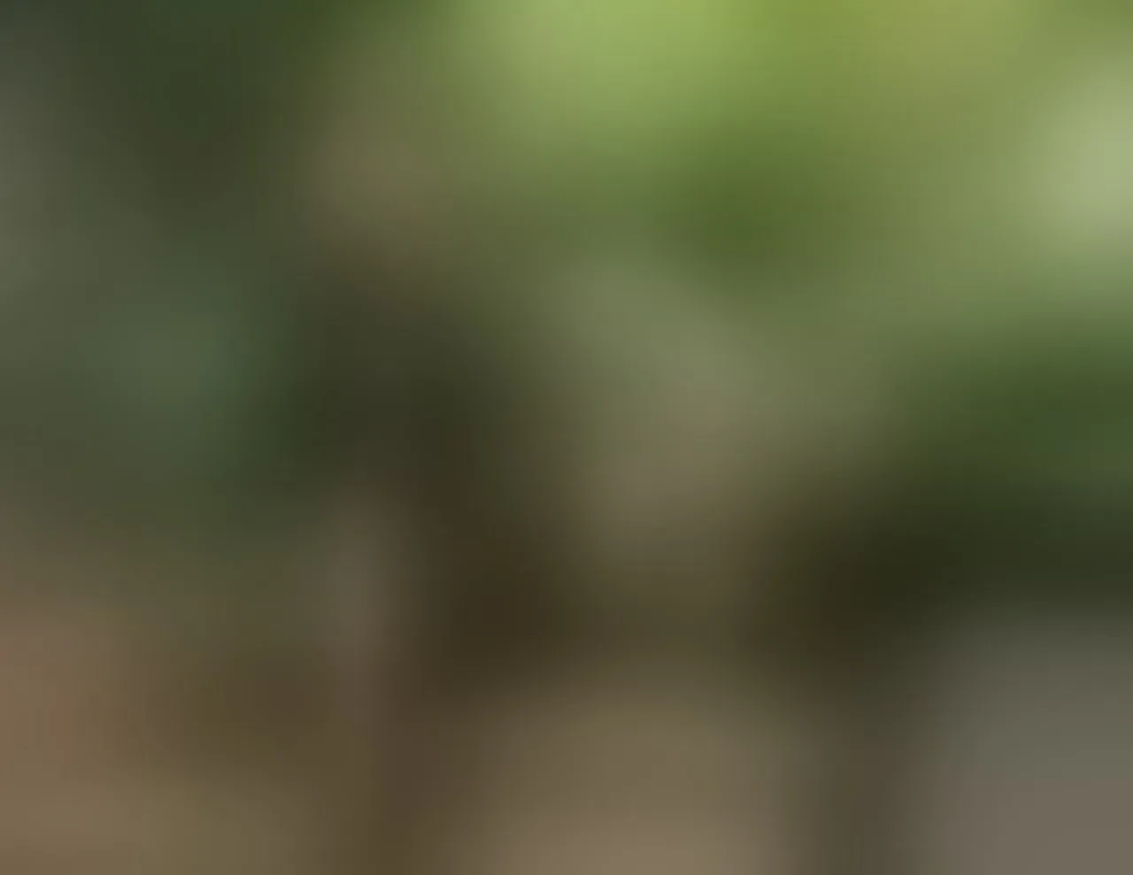 Live sex webcam photo for AliyahBrowns #7884969
