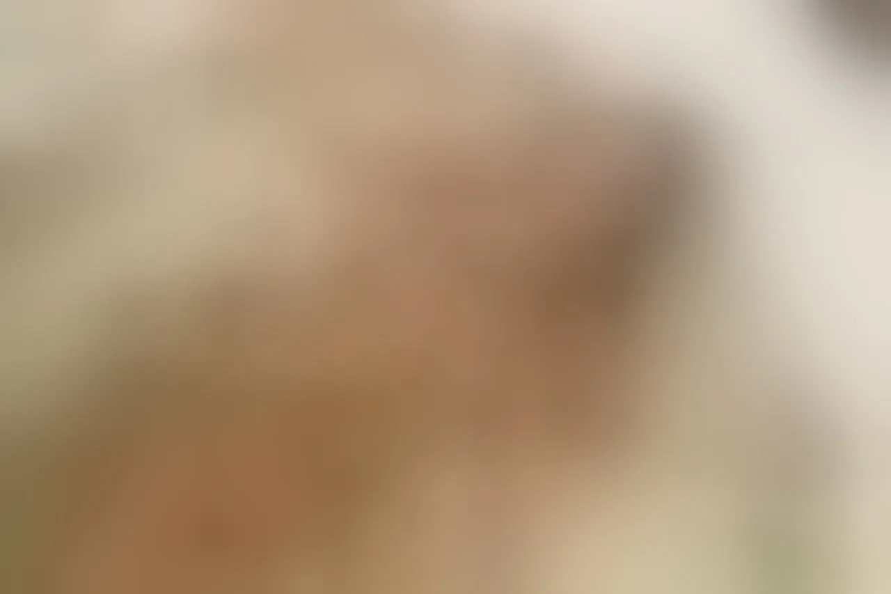 Live sex webcam photo for Emilycurtiis #7438123