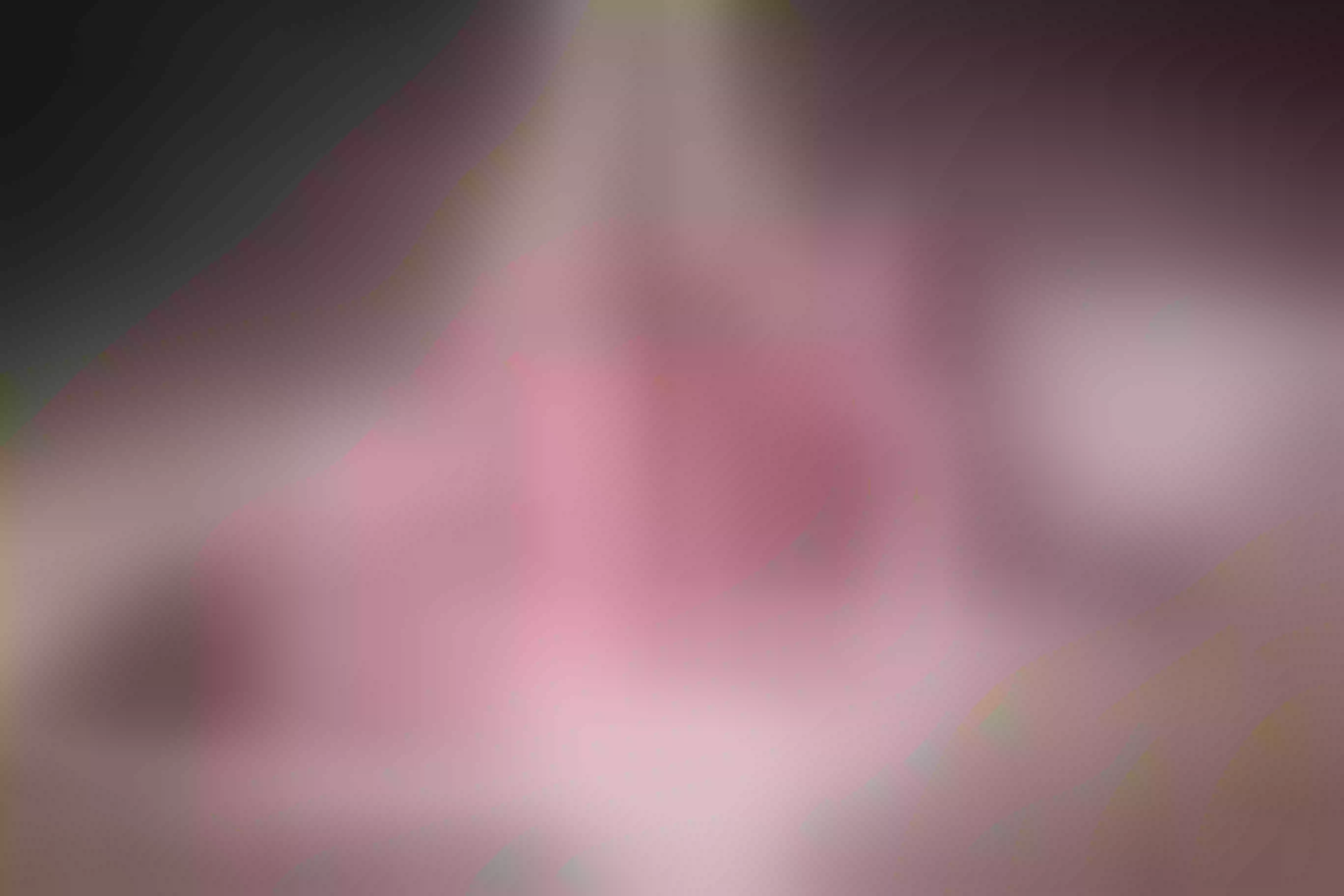 Live sex webcam photo for PamelaCullen #7830615