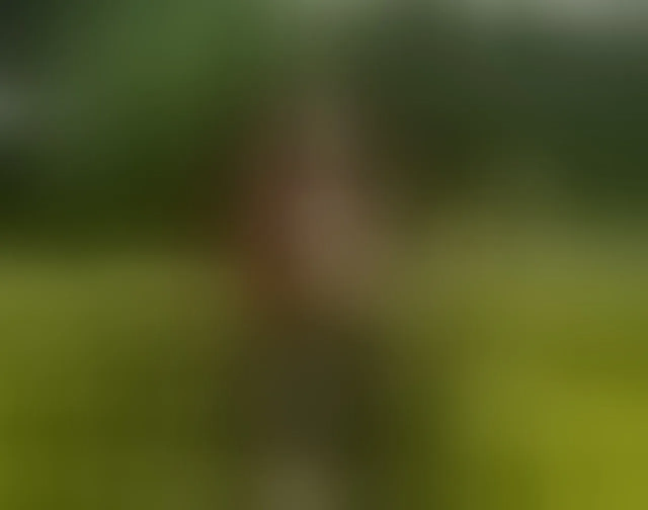 Live sex webcam photo for AgathChristi21 #7211030