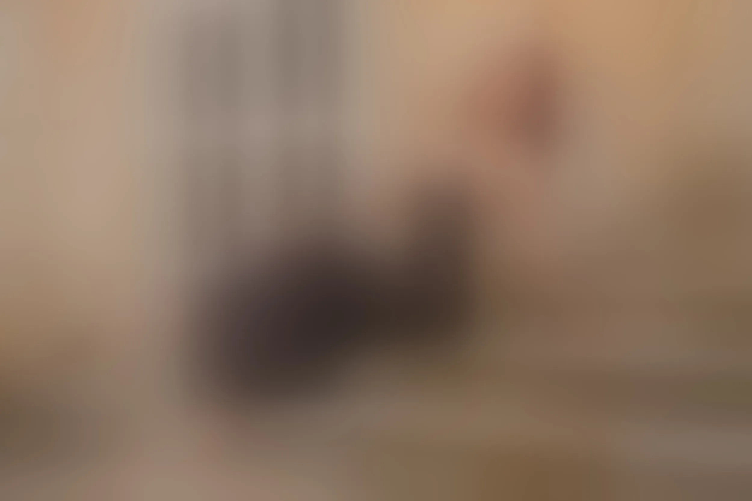 Live sex webcam photo for BrianaWells #8598253