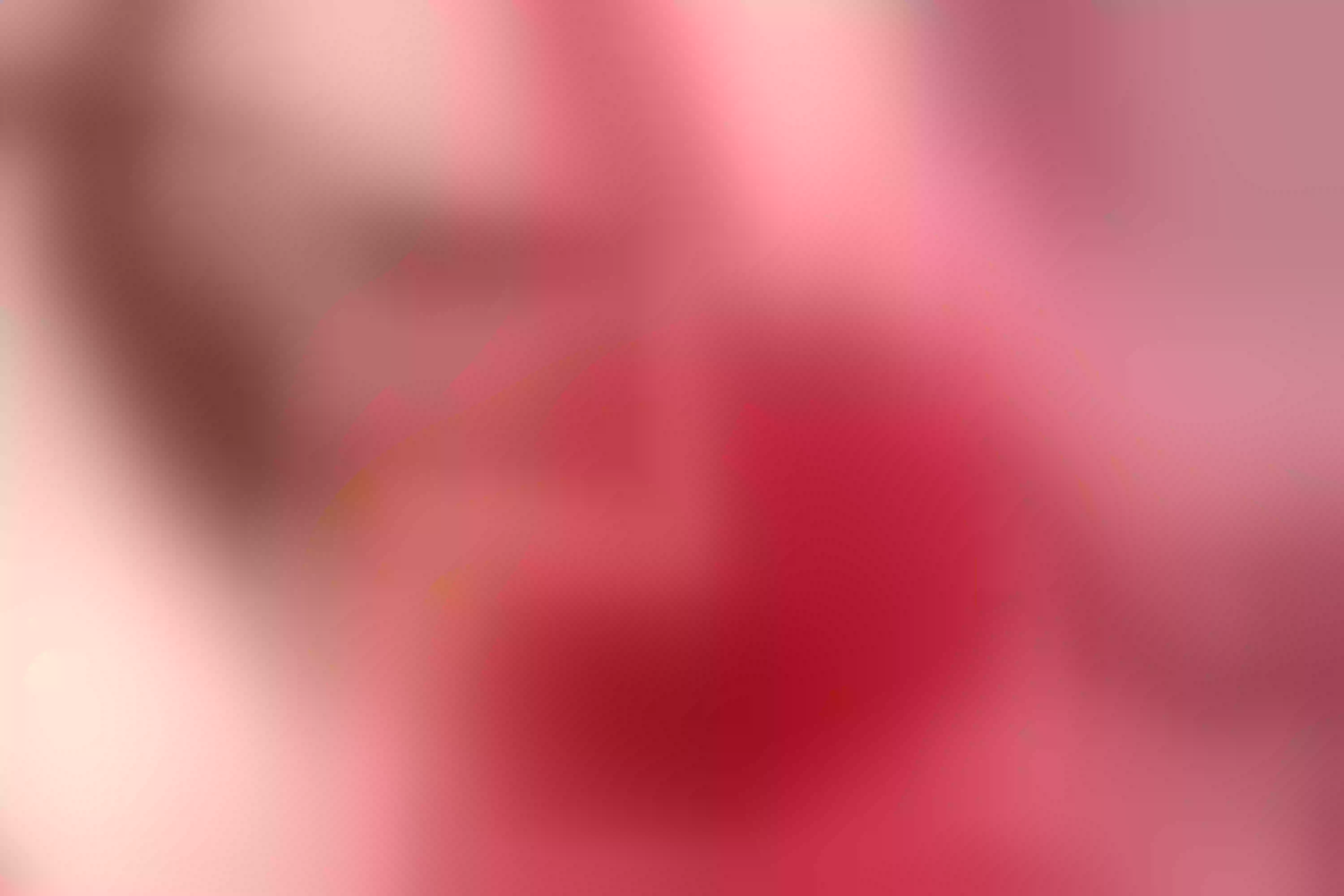 Live sex webcam photo for SammyJhuls #8020269