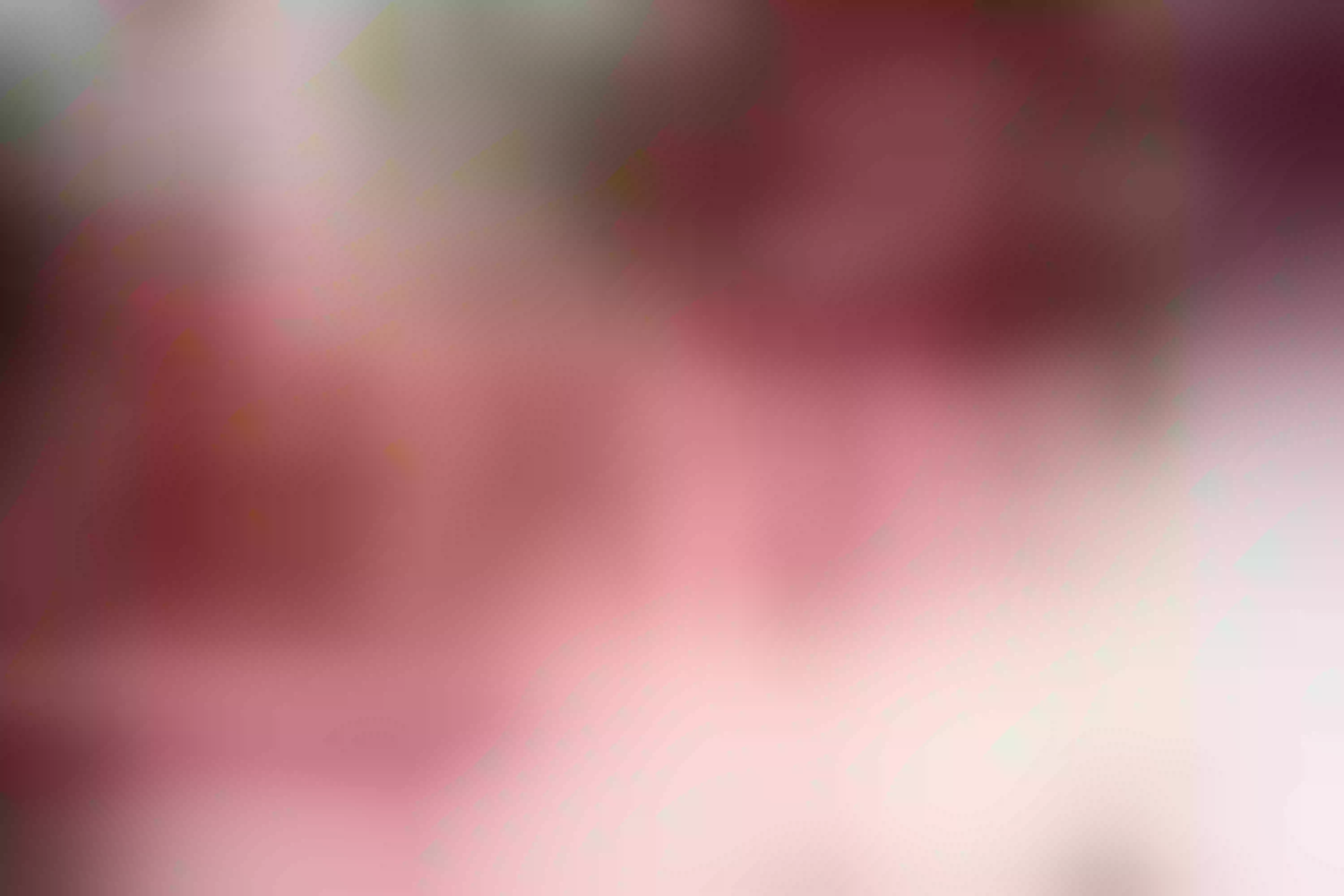 Live sex webcam photo for SammyJhuls #8268790