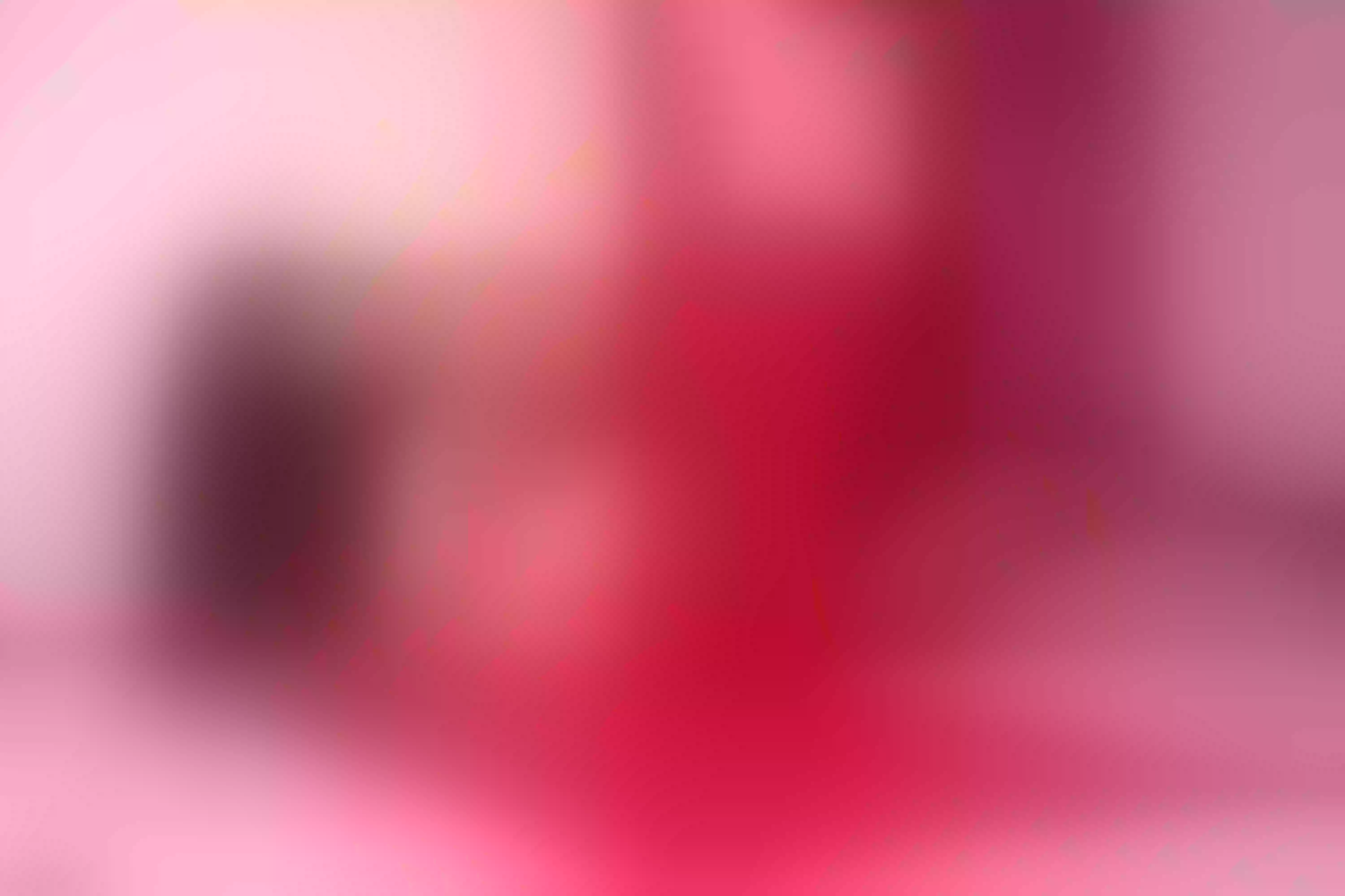 Live sex webcam photo for SammyJhuls #8020248