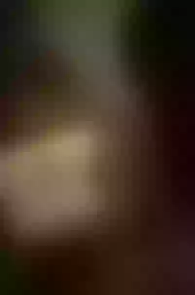 Live sex webcam photo for StacyJoch #7886671