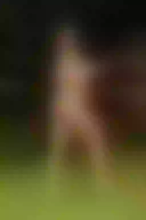 Live sex webcam photo for StacyJoch #7886697