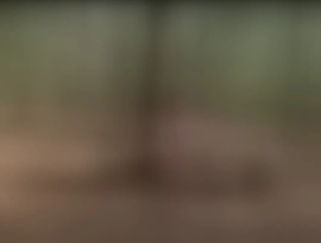 Live sex webcam photo for AMYINNA #7329490