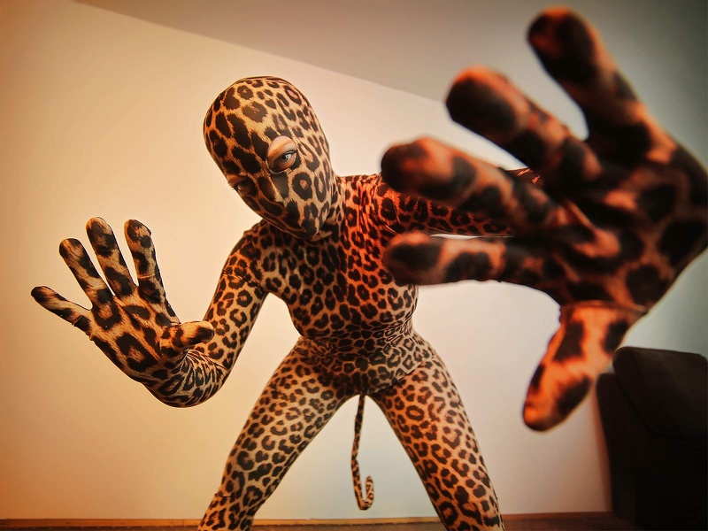 Live sex webcam photo for Betta #7137799