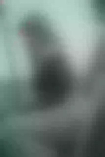 Live sex webcam photo for Sarah_Beltran #7945226