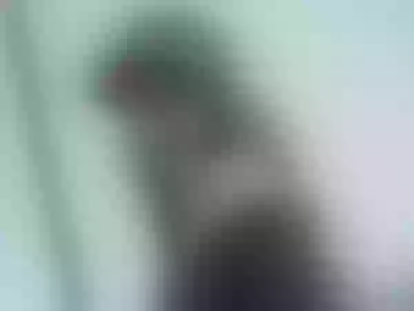 Live sex webcam photo for Sarah_Beltran #7945222