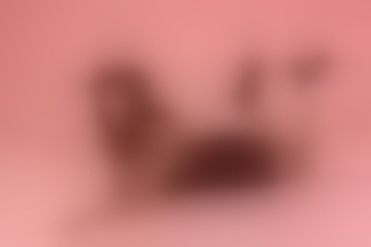 Live sex webcam photo for NashiroSakurai #8253790
