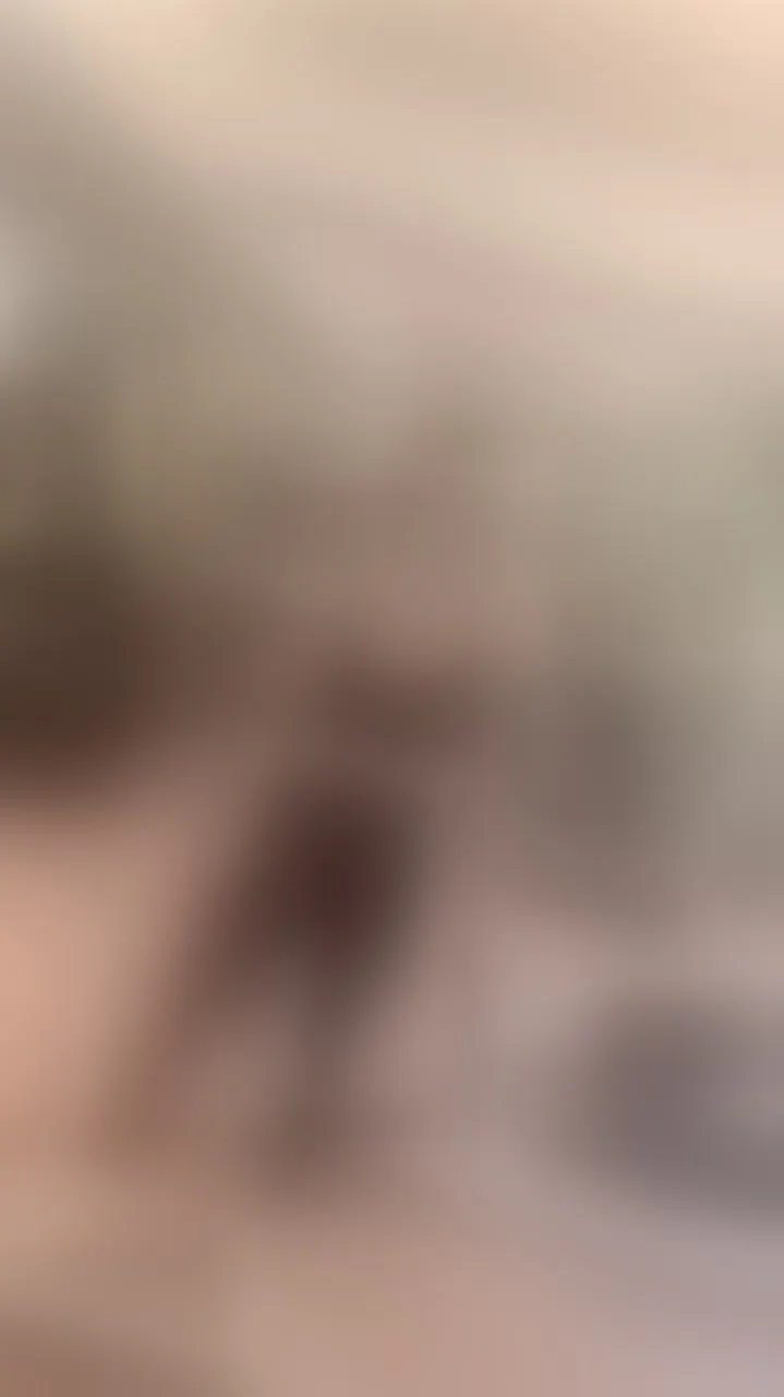 Live sex webcam photo for PureEllie #8065235