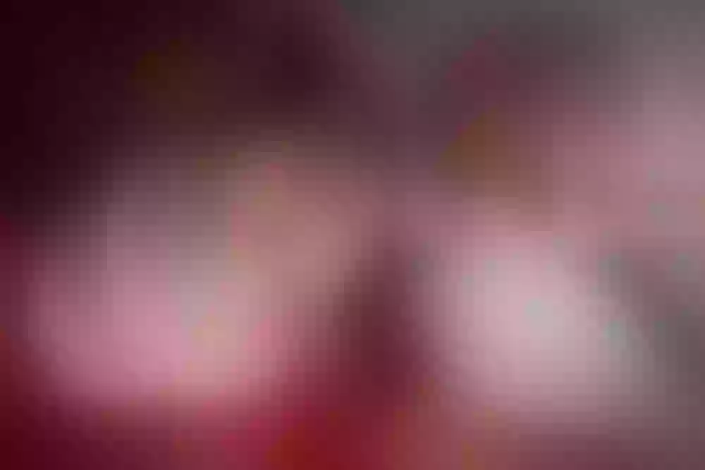 Live sex webcam photo for Larsson_Emily #8159848