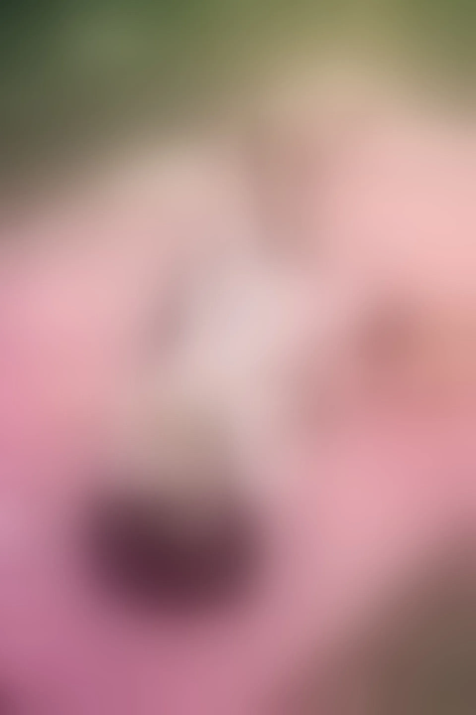 Live sex webcam photo for CardyKambeL #8478967