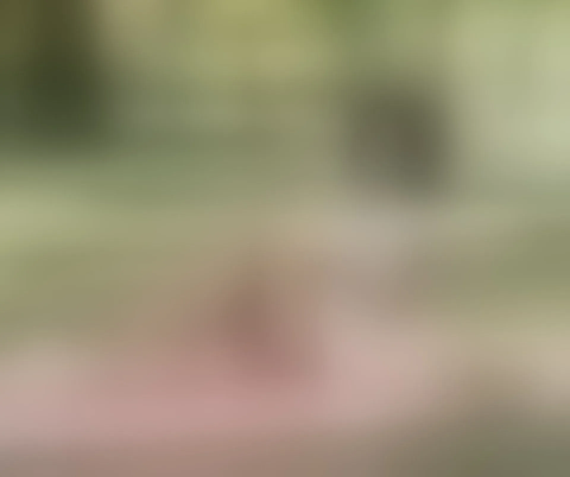 Live sex webcam photo for CardyKambeL #8478962