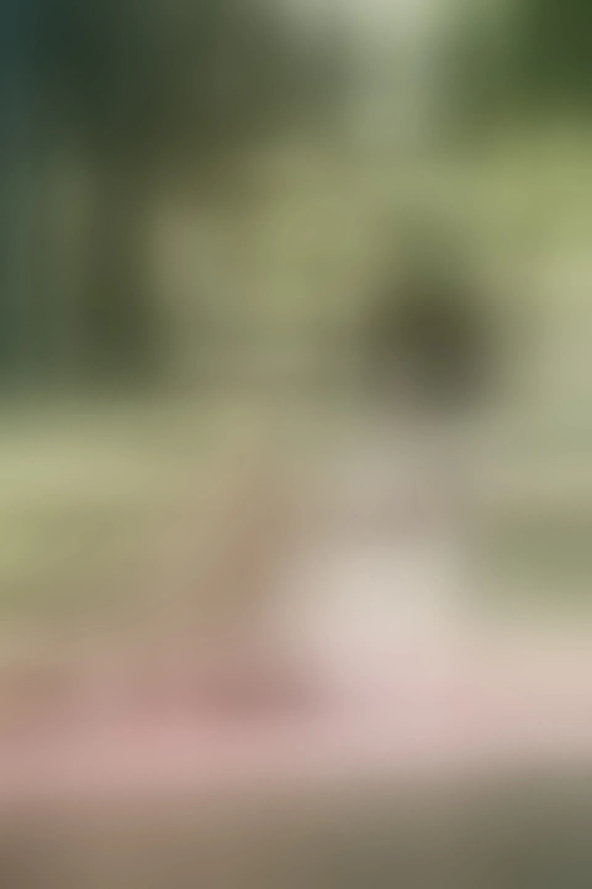 Live sex webcam photo for CardyKambeL #8478965