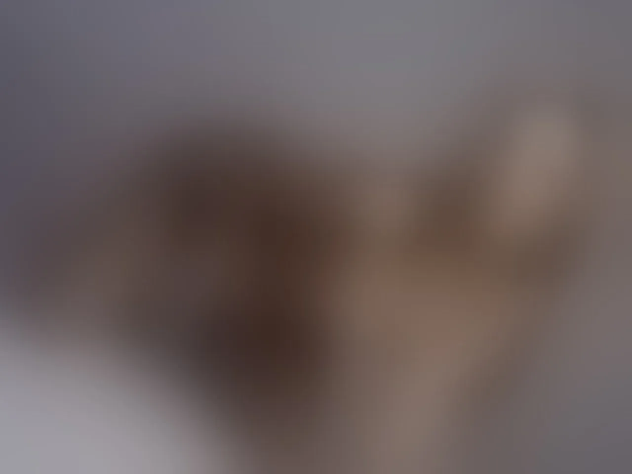 Live sex webcam photo for ElarraShine #8514644