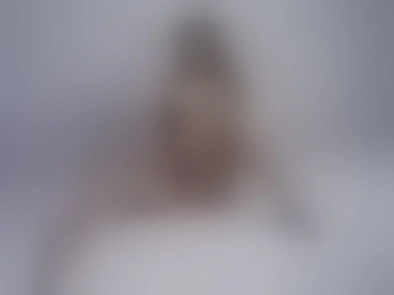 Live sex webcam photo for ElarraShine #8514642