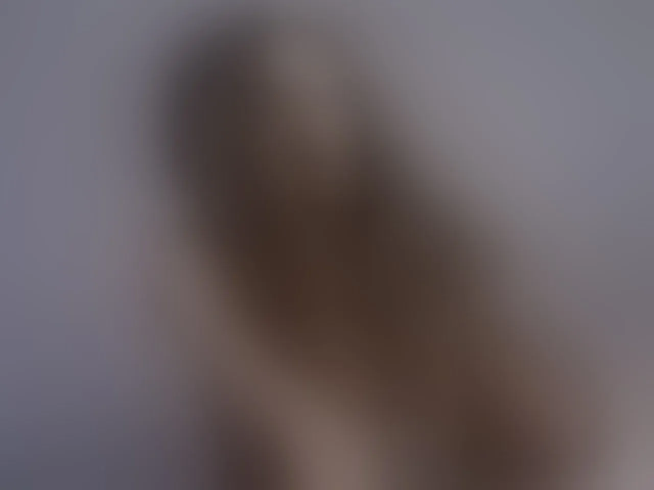 Live sex webcam photo for ElarraShine #8514648