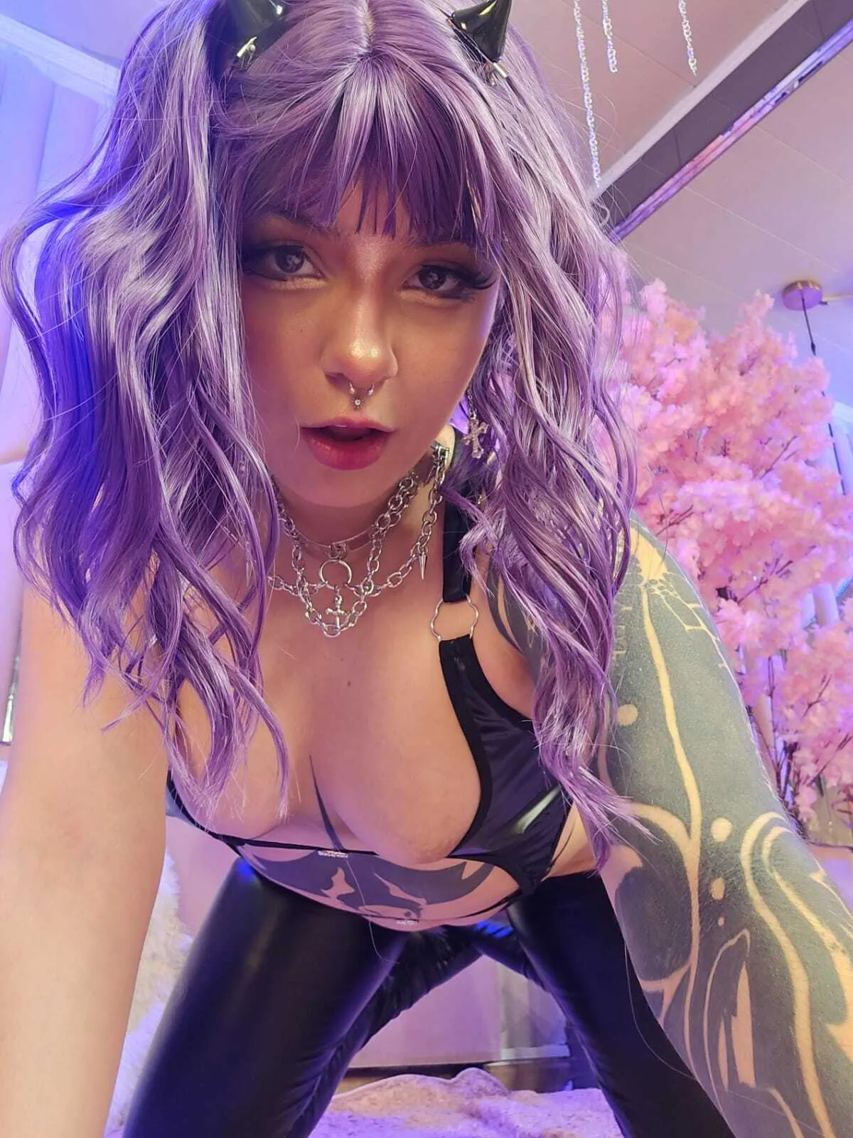Live sex webcam photo for BizzyNoar19 #8054646