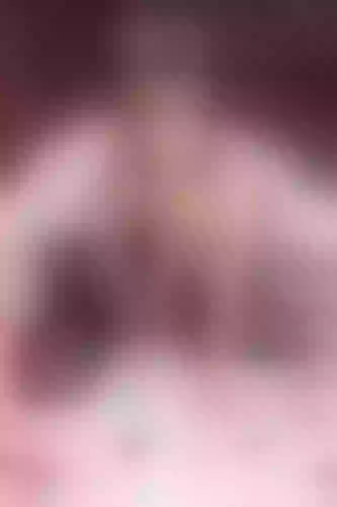 Live sex webcam photo for BizzyNoar19 #8023614