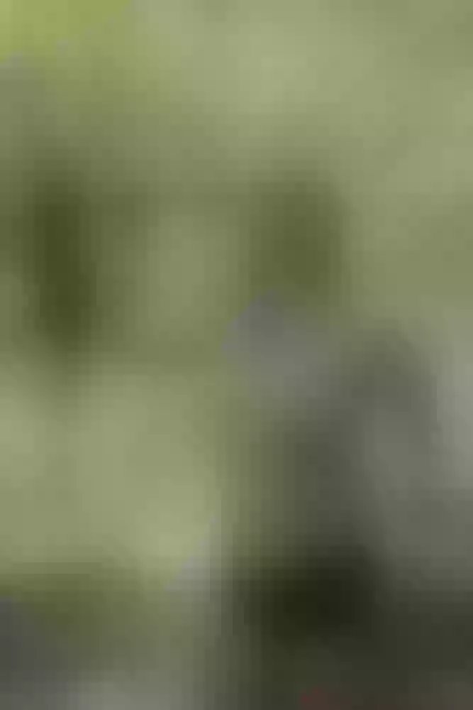 Live sex webcam photo for imSkyxrated #7888382