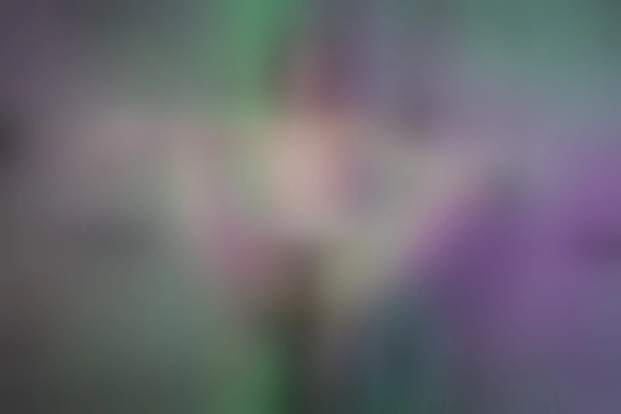 Live sex webcam photo for SophieBlaake #8006440