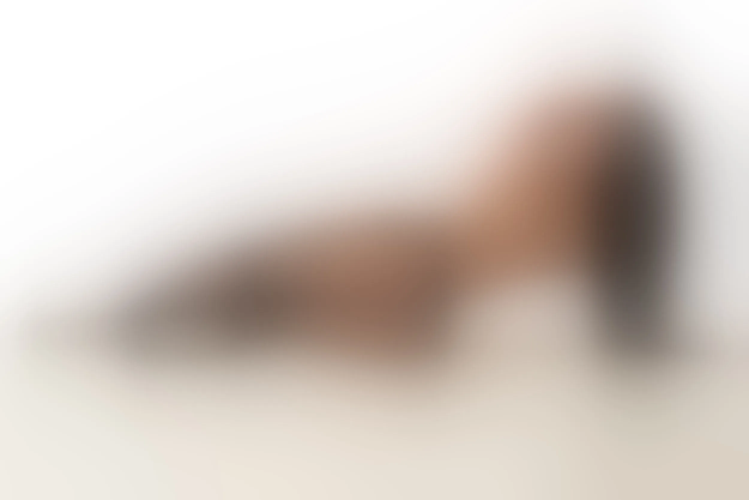 Live sex webcam photo for LynMonclair #8205624