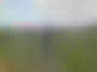 Live sex webcam photo for TinyGlad #7927744