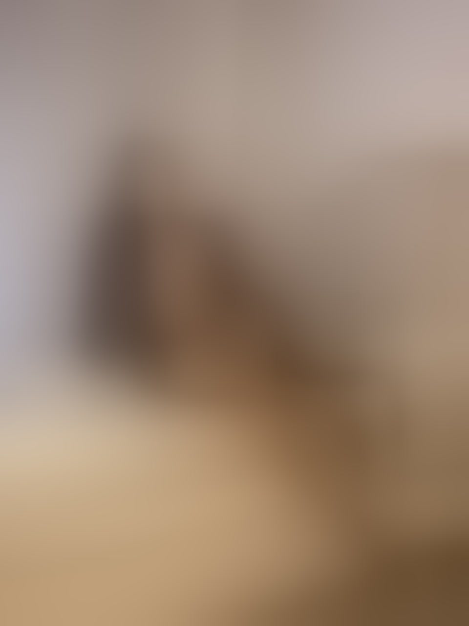 Live sex webcam photo for DannyCR #8618863