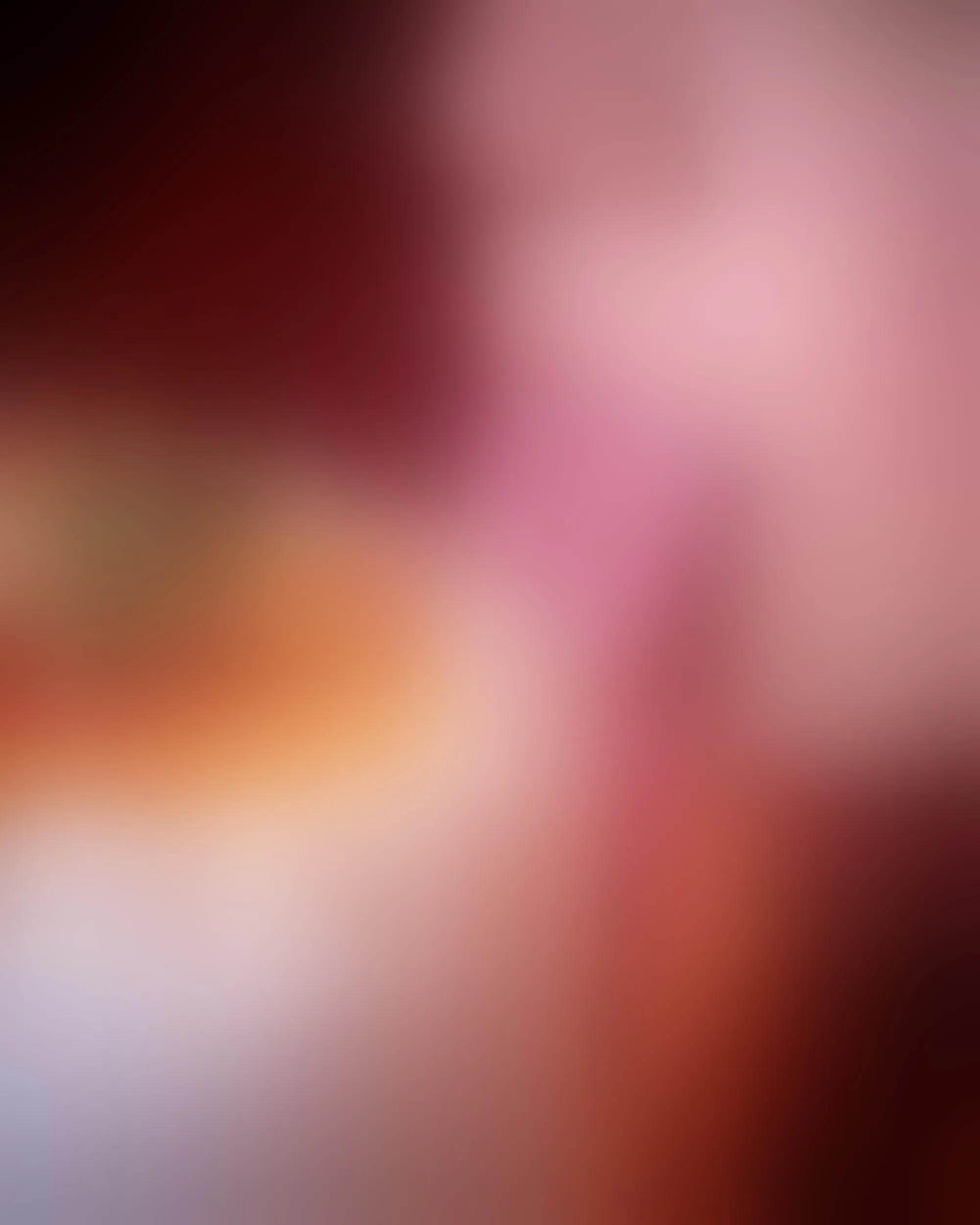 Live sex webcam photo for SammyHillss #8244129