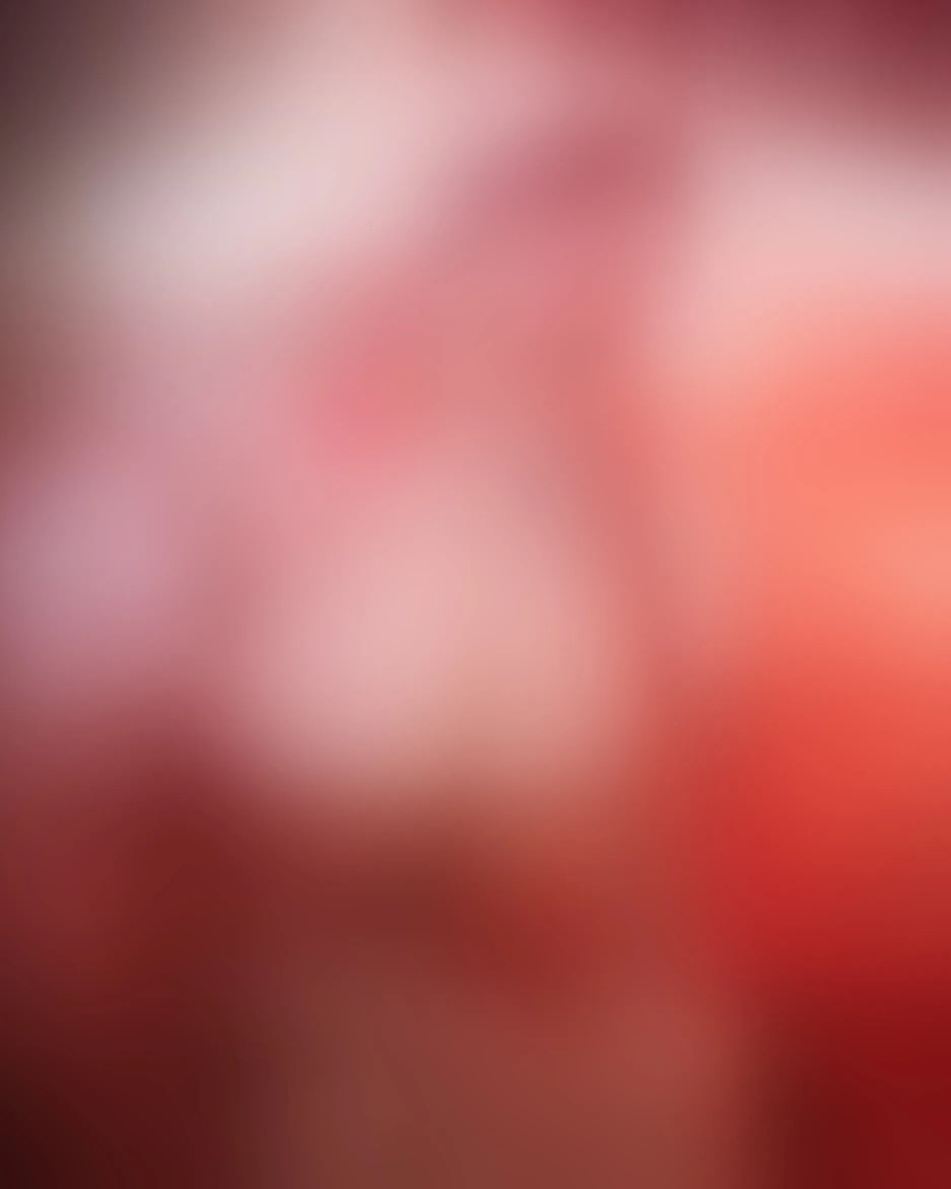 Live sex webcam photo for SammyHillss #8290259